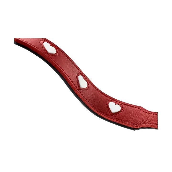 Laisse pour Chien Hunter Rouge 2 m Réglable