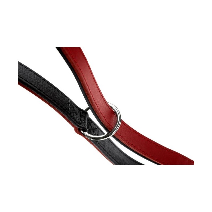 Laisse pour Chien Hunter Rouge 2 m Réglable