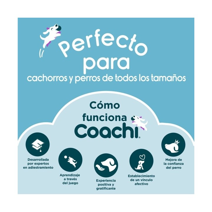 Jouet d'entraînement Coachi TUGGI BALL Bleu