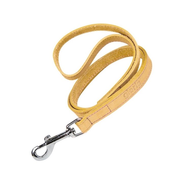 Laisse pour Chien Gloria Oasis 1.5 x 100 cm Jaune