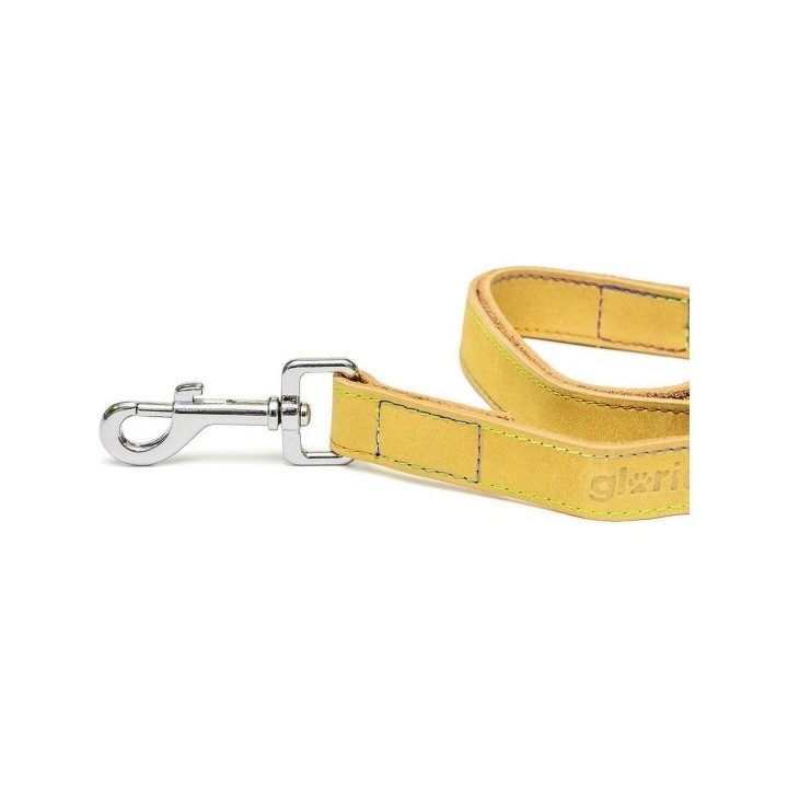 Laisse pour Chien Gloria Oasis 1.5 x 100 cm Jaune