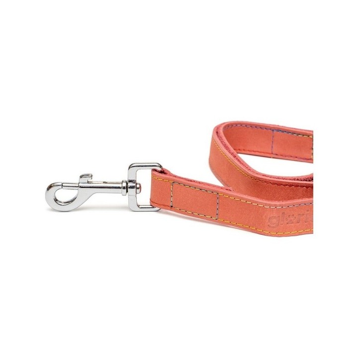 Laisse pour Chien Gloria Oasis 1.5 x 100 cm Rose