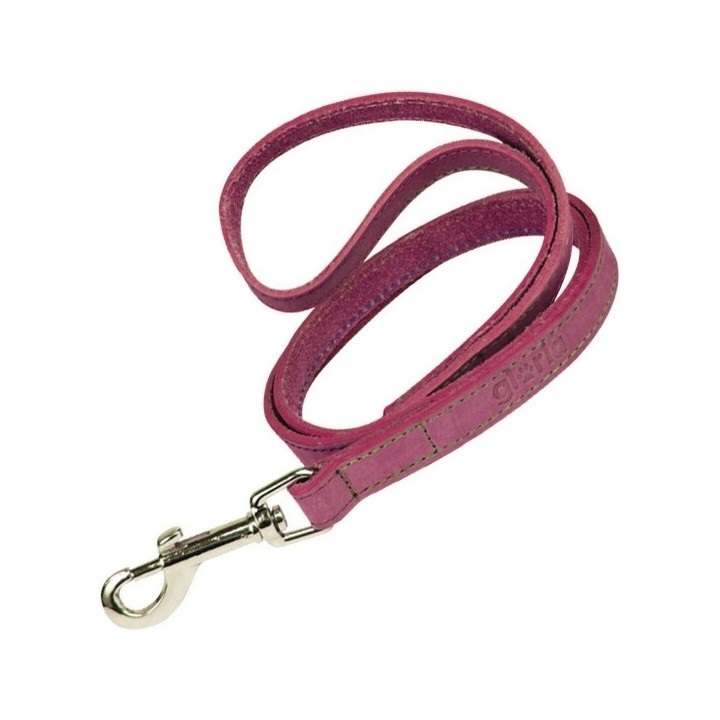 Laisse pour Chien Gloria Oasis 1.5 x 100 cm Rose