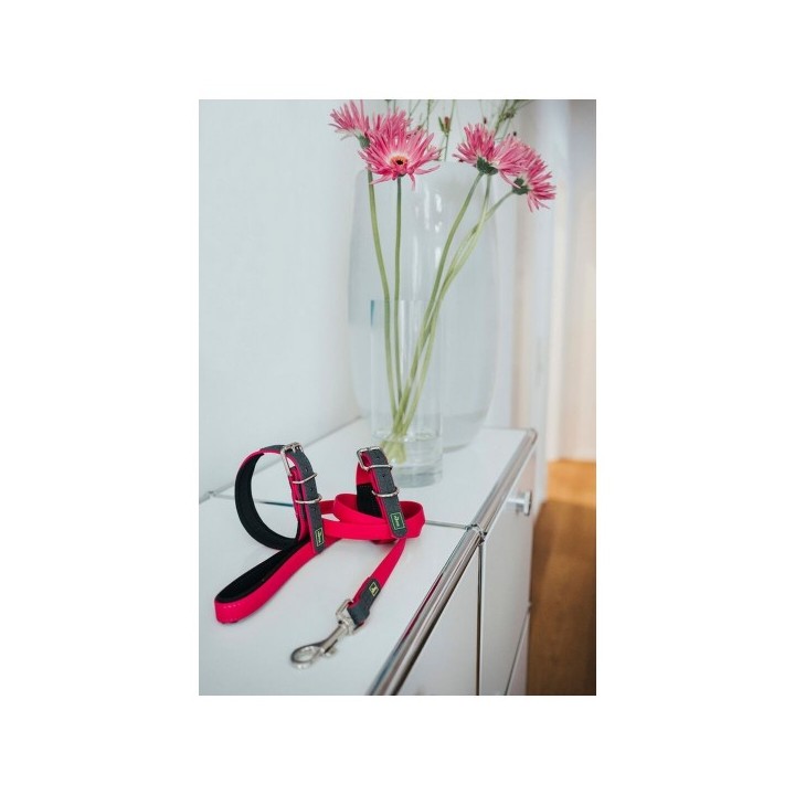 Laisse pour Chien Hunter CONVENIENCE 2 x 120 cm Rose