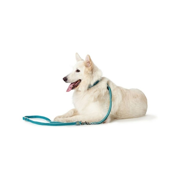 Laisse pour Chien Hunter HILO Turquoise 200 cm