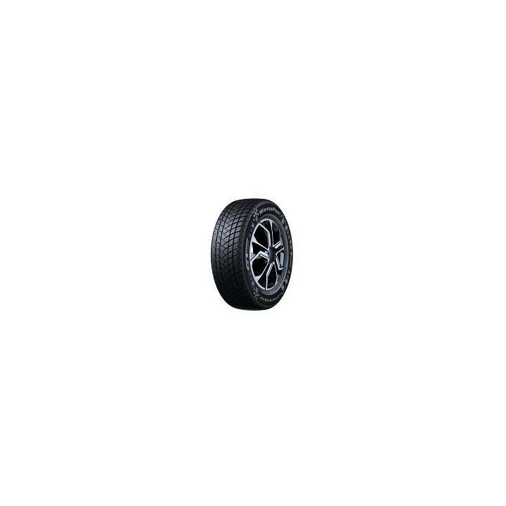 195/65 R15 XL 95T TL WINTERPRO 2 EVO M+S 3PMSF