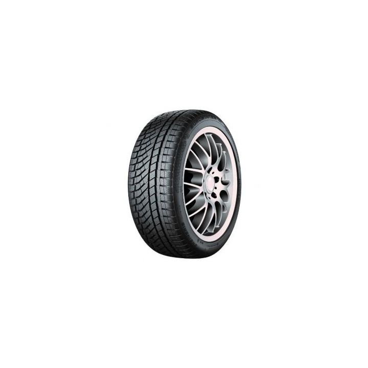 255/40 R21 XL 102W TL EUROWINTER HS02 PRO 3PMSF