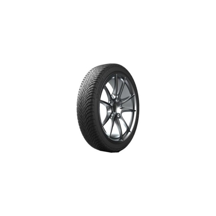 295/30 R20 XL 101V TL PILOT ALPIN 5 MO1 Mercedes