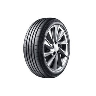 205/55 R16 91W TL RP062