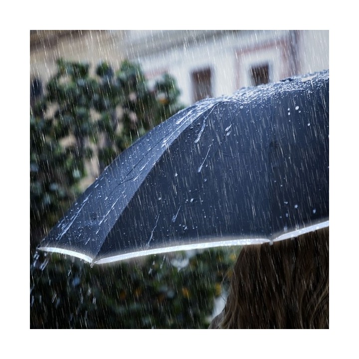 Parapluie Pliable à Fermeture Inversée avec LED Folbrella InnovaGoods