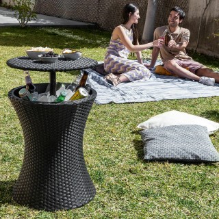Table Réfrigérateur de Jardin 3 en 1 Frizzble InnovaGoods