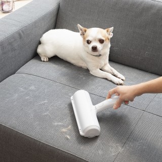 Rouleau Anti poil d’Animaux Rellair InnovaGoods