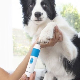 Coupe griffes avec LED pour Animaux de Compagnie Clipet InnovaGoods