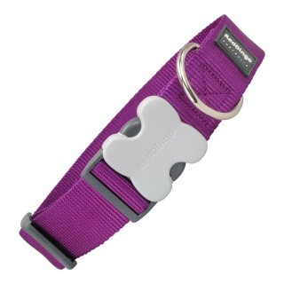 Collier pour Chien Red Dingo Violet (4 x 37 55 cm)