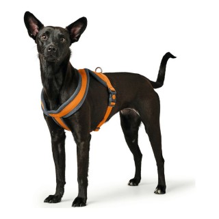 Harnais pour Chien Hunter Hilo Comfort XS S Orange (37 42 cm)