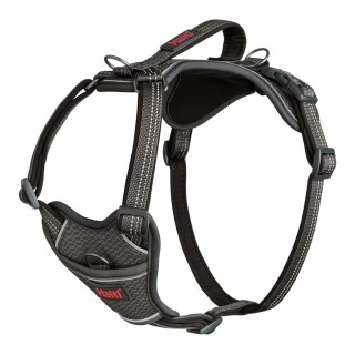 Harnais pour Chien Company of Animals Gris M 35 55 cm