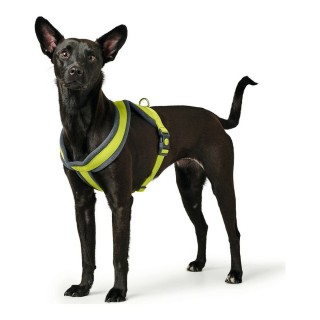 Harnais pour Chien Hunter London Comfort XS S 39 47 cm Marron