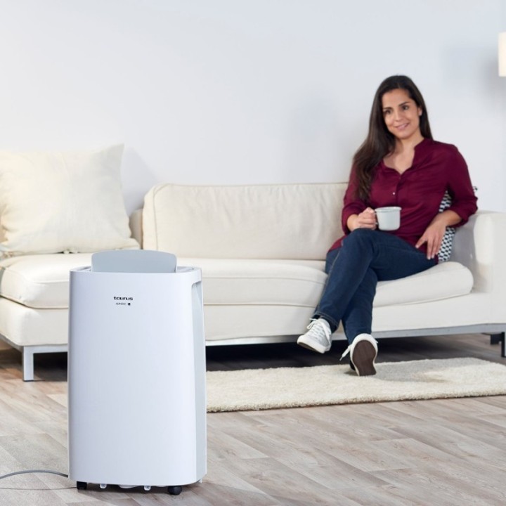 Taurus Déshumidificateur 22 L / Jour - Pleasant Unique - DH 2201