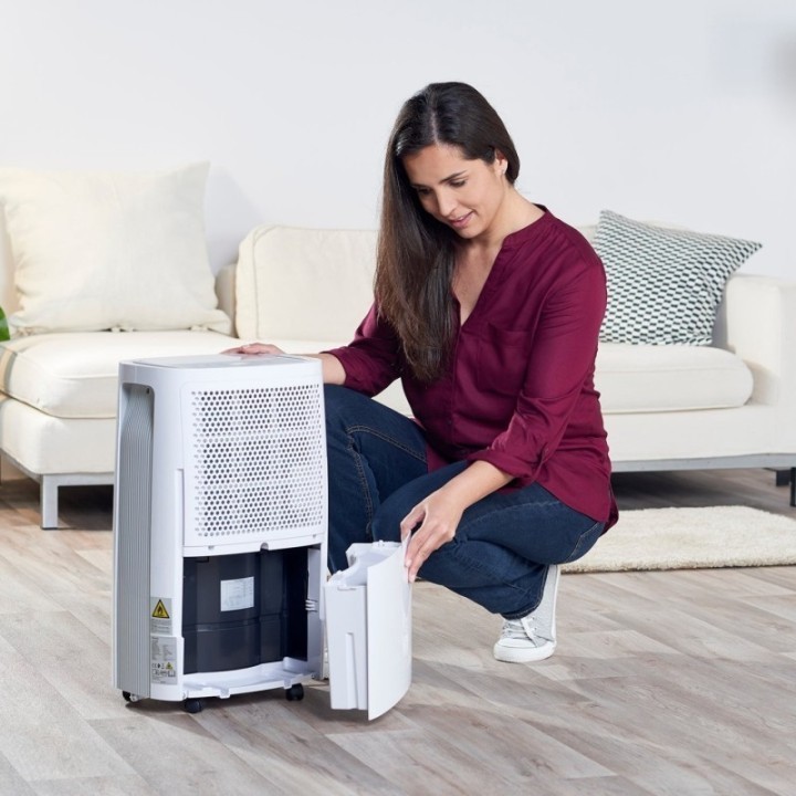Taurus Déshumidificateur 22 L / Jour - Pleasant Unique - DH 2201