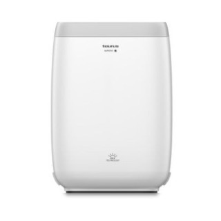 Taurus Purificateur d'air - AP 2050 - High Landcapes
