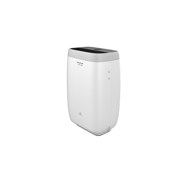 Taurus Purificateur d'air - AP 2050 - High Landcapes