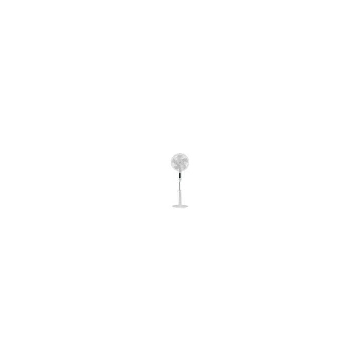 BXEFP30E