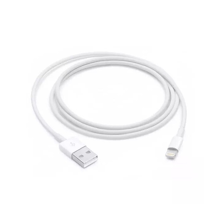 Cable Usb ORIGINAL Lightning 1 métre Apple iPhone 8/8 Plus/X (Nouvelle Version) MD818ZM/A (Vrac) blanc