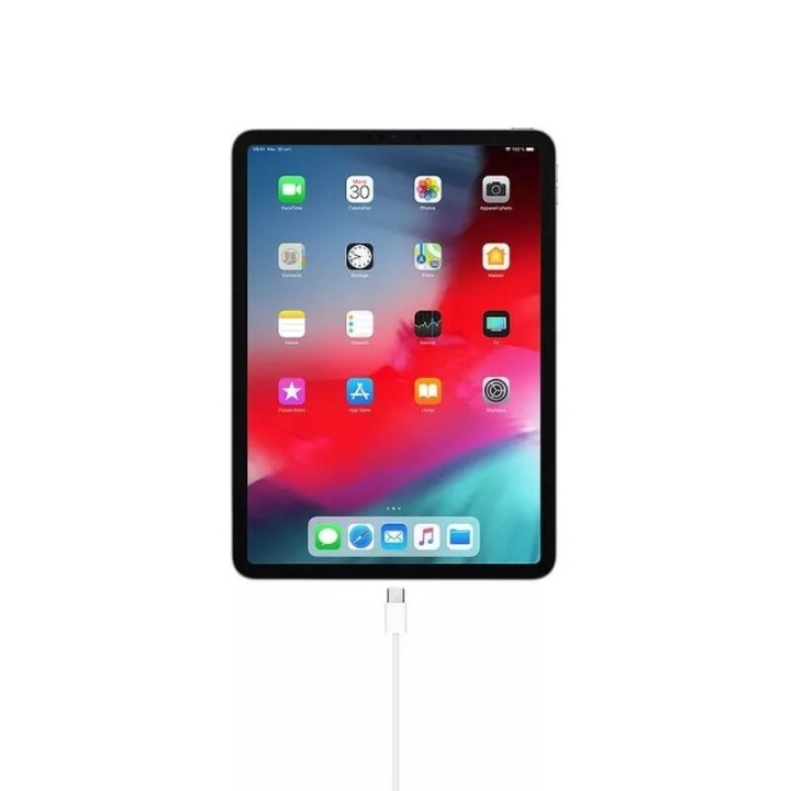 Cable Usb-C vers Usb-C ORIGINAL Apple iPhone 1 métre MUF72ZM/A blanc
