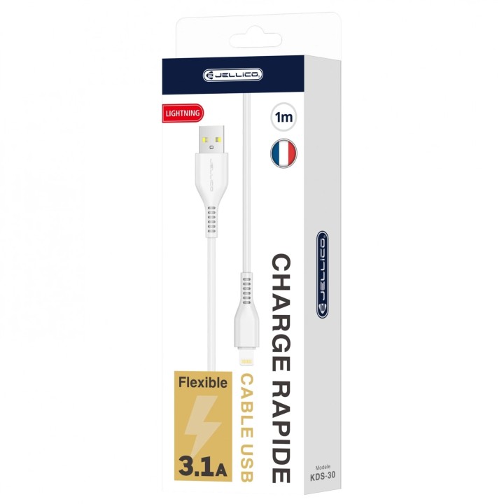 Cable Usb vers Lightning (3.1 A) 1 mètre JELLICO KDS-30 blanc