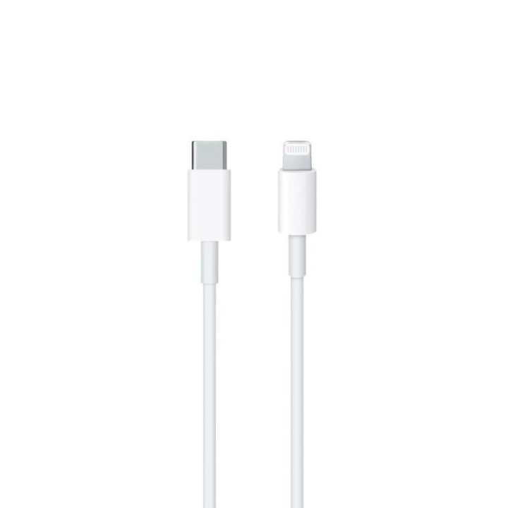 Cable Usb-C vers Lightning ORIGINAL Apple iPhone 1 métre MM0A3ZM/A blanc