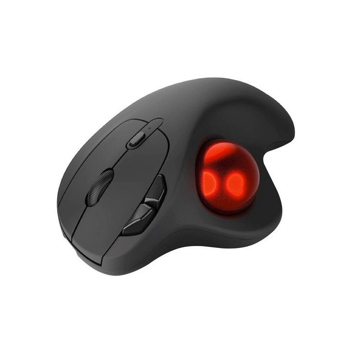 Souris MOBILITY Trackball