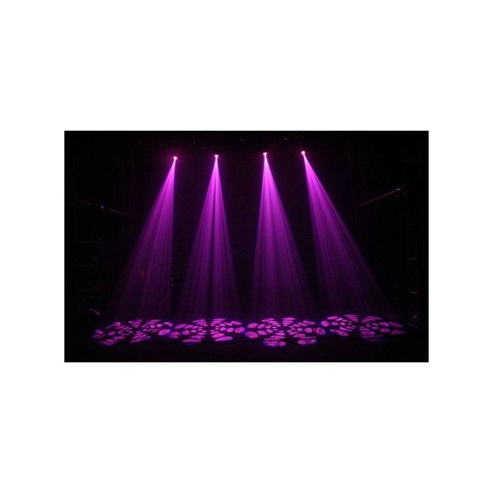 Lyre BEE STAR BEEMOVE SPOT 40