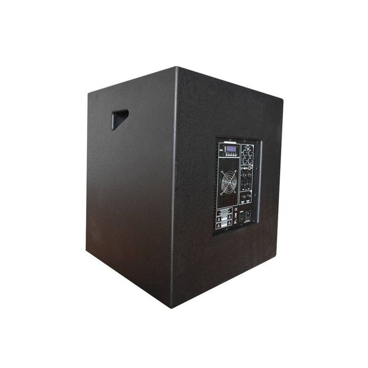 Enc. Amplifiée EDENWOOD CURVE SYSTEM 18