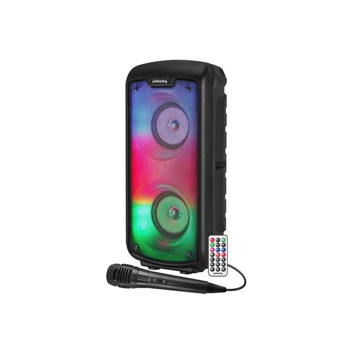 Enceinte amplifiée PICKERING PARTYDJOON 224