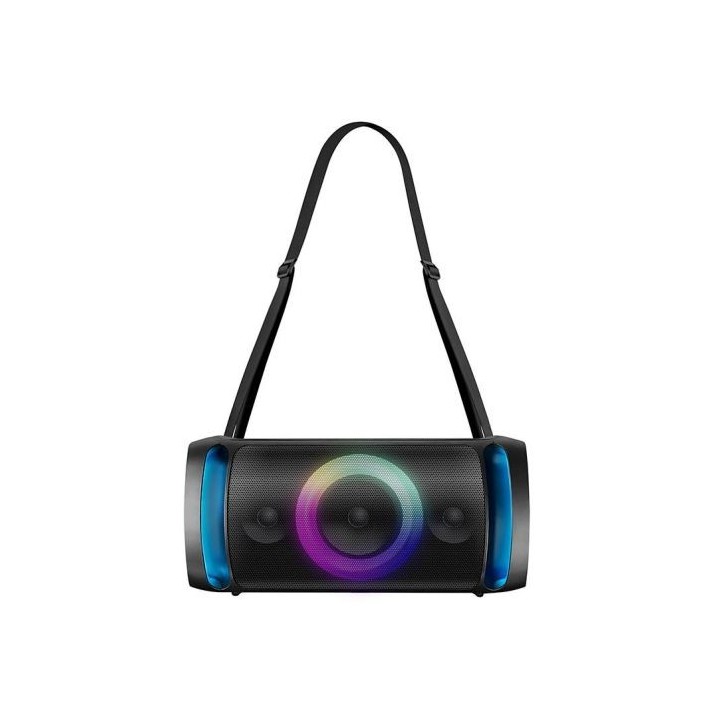 Enceinte Amplifiée PICKERING PKG 1600