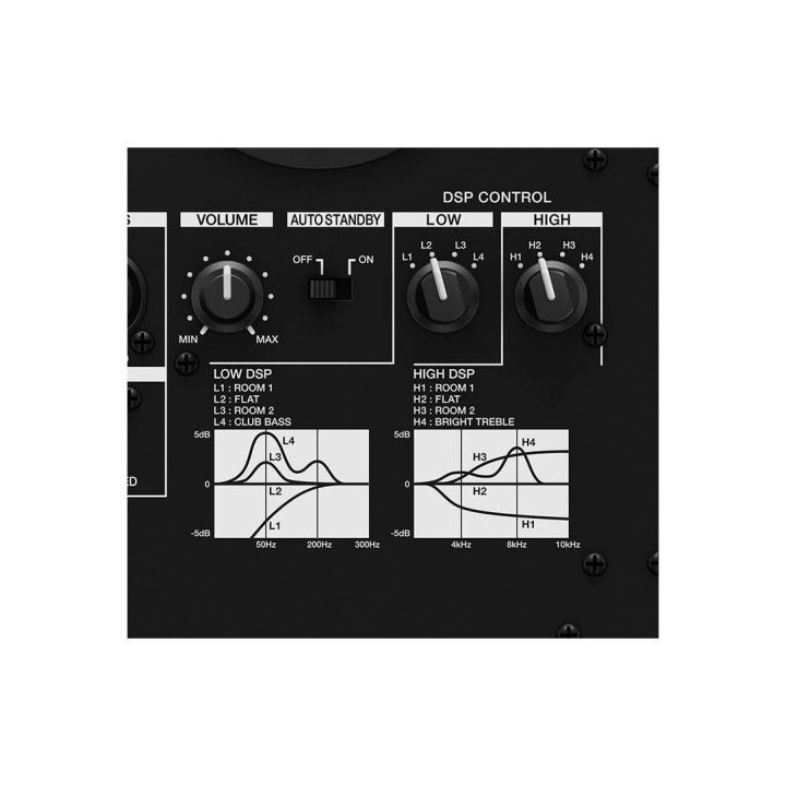 Enceinte Amplifiée PIONEER DJ VM 50