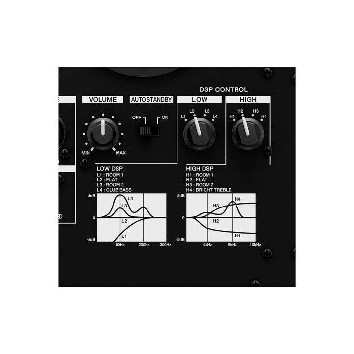 Enceinte Amplifiée PIONEER DJ VM 50 W