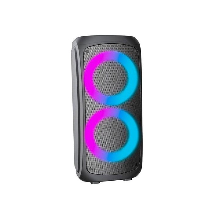 Enceinte EDENWOOD PARTY 250