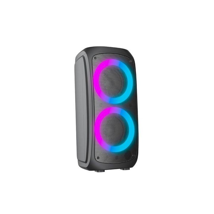 Enceinte EDENWOOD PARTY 250