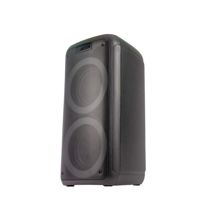 Enceinte EDENWOOD PARTY 350
