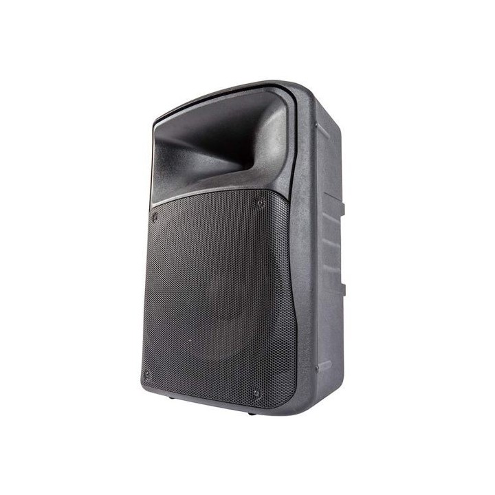 Enceinte EDENWOOD POWERBOOST 5