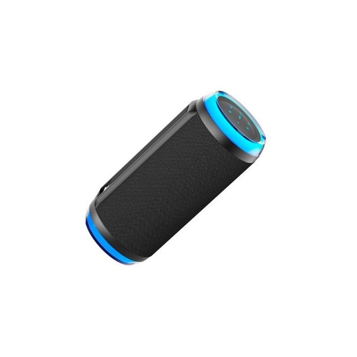 Enceinte sans fil EDENWOOD OCTAVE LEASH V2 Black