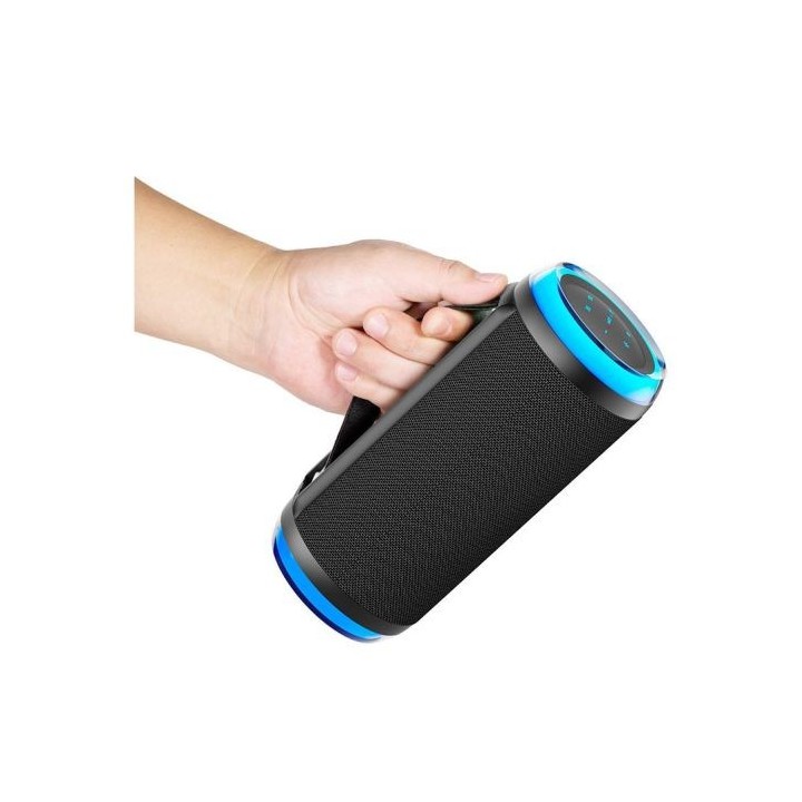 Enceinte sans fil EDENWOOD OCTAVE LEASH V2 Black