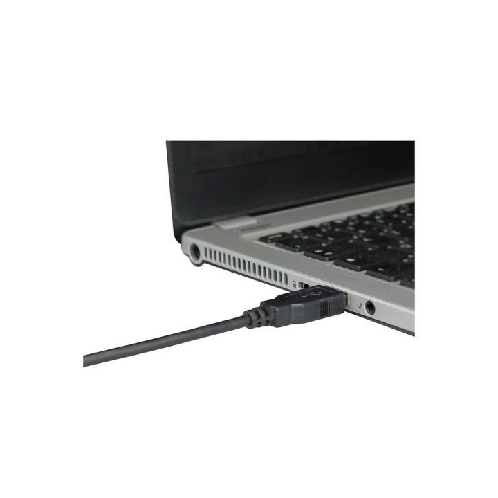 Câble USB EDENWOOD vers mini USB noir 1,80m