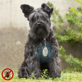 Répulsif Anti nuisible à Ultrasons Rechargeables pour les Animaux de Compagnie PetRep InnovaGoods