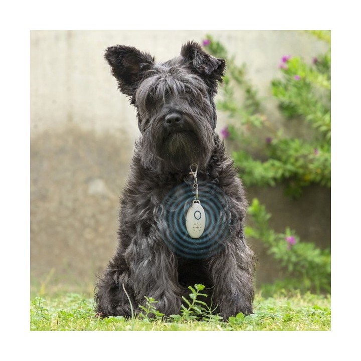 Répulsif Anti nuisible à Ultrasons Rechargeables pour les Animaux de Compagnie PetRep InnovaGoods