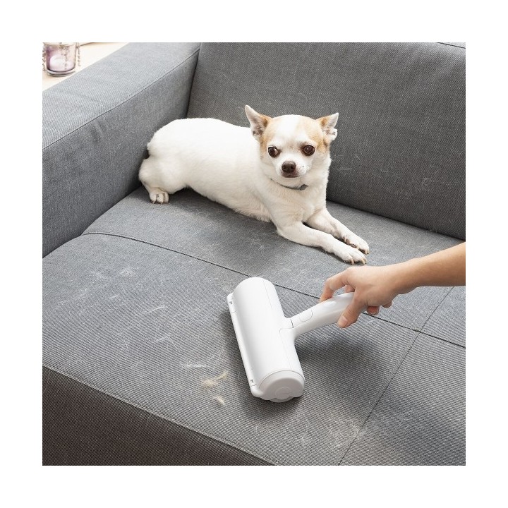 Rouleau Anti poil d’Animaux Rellair InnovaGoods