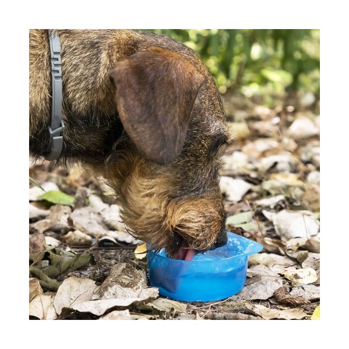 Bouteille avec Distributeur d'Eau et d'Aliments pour Animaux 2 en 1 Pettap InnovaGoods