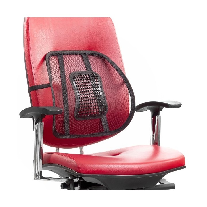 Support dorsal portable respirant Backonfy InnovaGoods