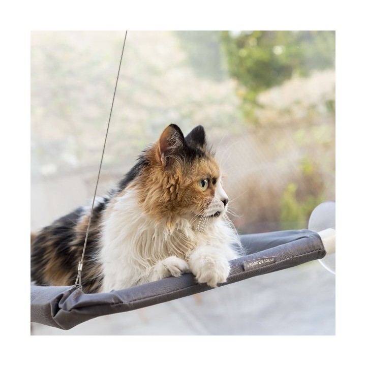 Hamac Suspendu pour Chats Catlax InnovaGoods